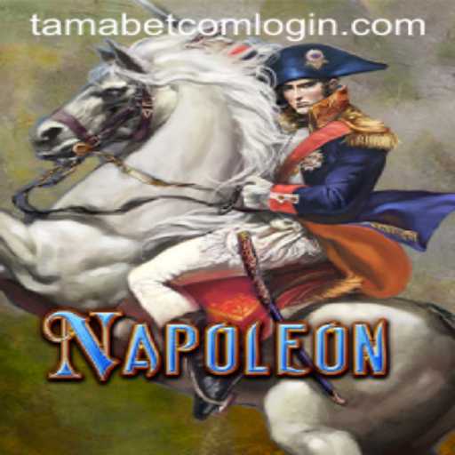 Exploring the Dynamics and Rules of the Game Napoleon